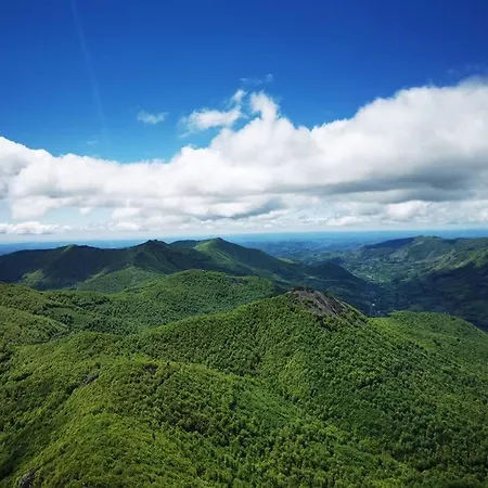 Le Paisible * * * Apartment *